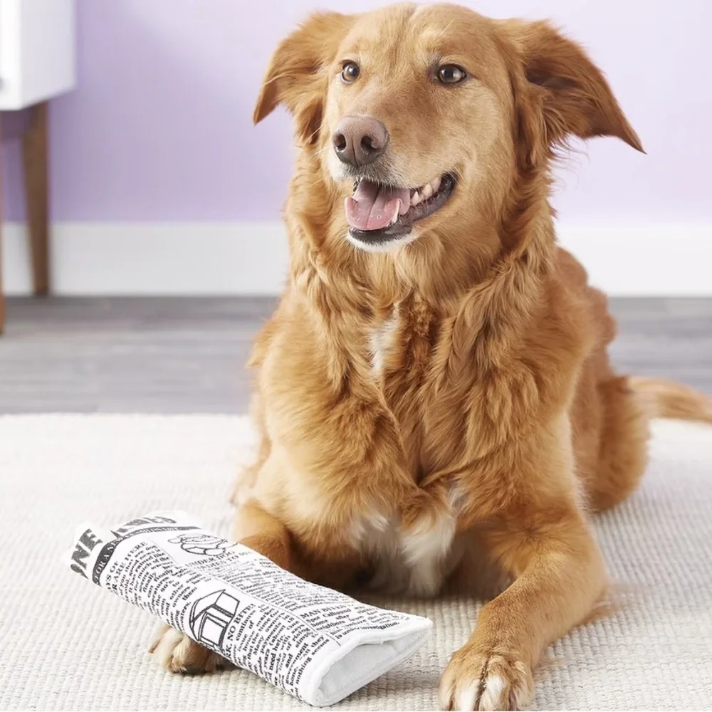 Pet Qwerks Krinkle & Squeak Newspaper Stuffing-Free Plush Dog Toy, 10 in NEW